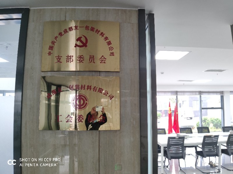 热烈祝贺J9集团集团成都分公司党支部在2020年3月11日授牌成立，支部书记曹云(行政部经理)