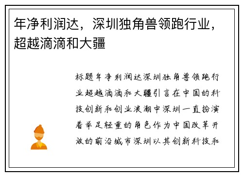 年净利润达，深圳独角兽领跑行业，超越滴滴和大疆