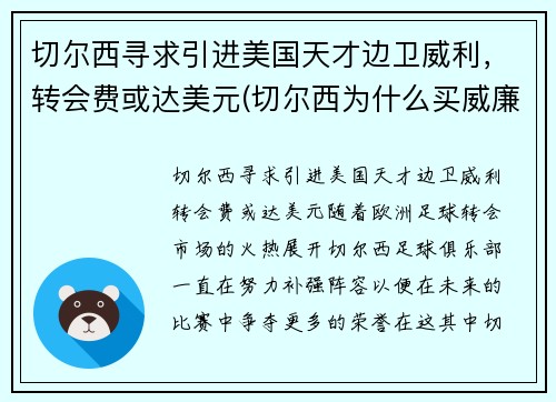 切尔西寻求引进美国天才边卫威利，转会费或达美元(切尔西为什么买威廉)