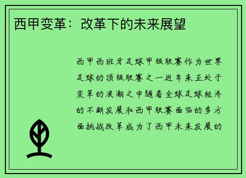 西甲变革：改革下的未来展望